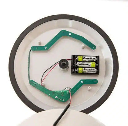Solar Powered Flag Light
